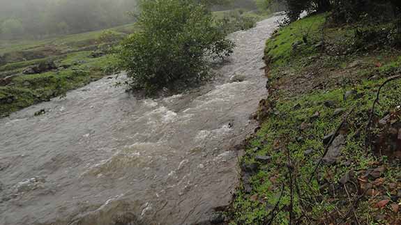 Water Stream on the way