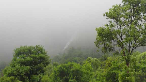 Fog on the way