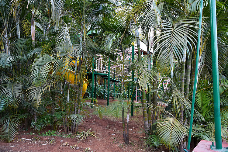 Kids Play Area
