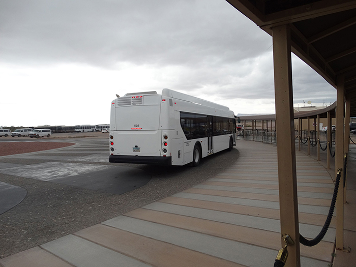 Shuttle Bus service to different points