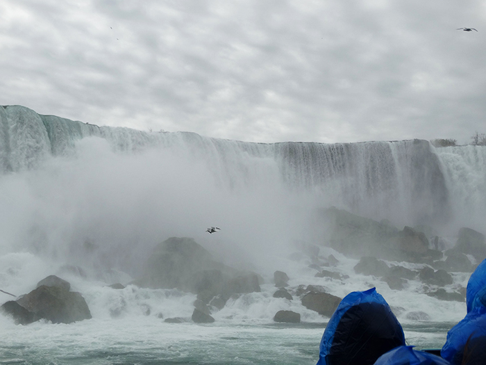 Horse Shoe at Niagara Falls