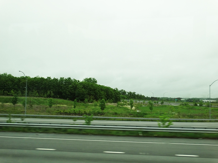 Greenary on the way to New York
