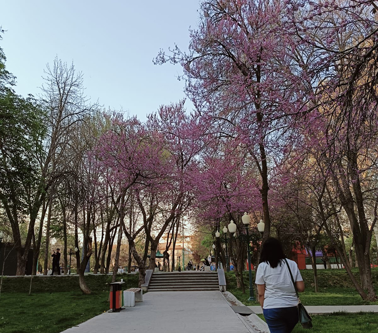 Green Spaces