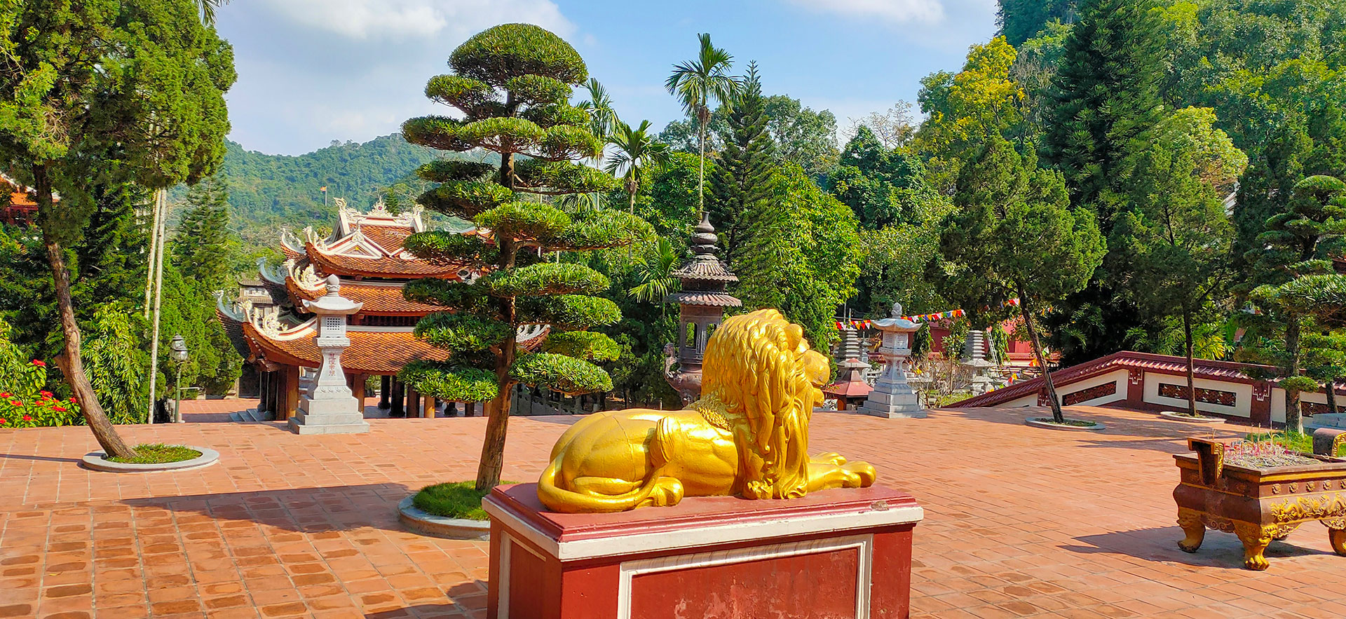 Golden Lion
