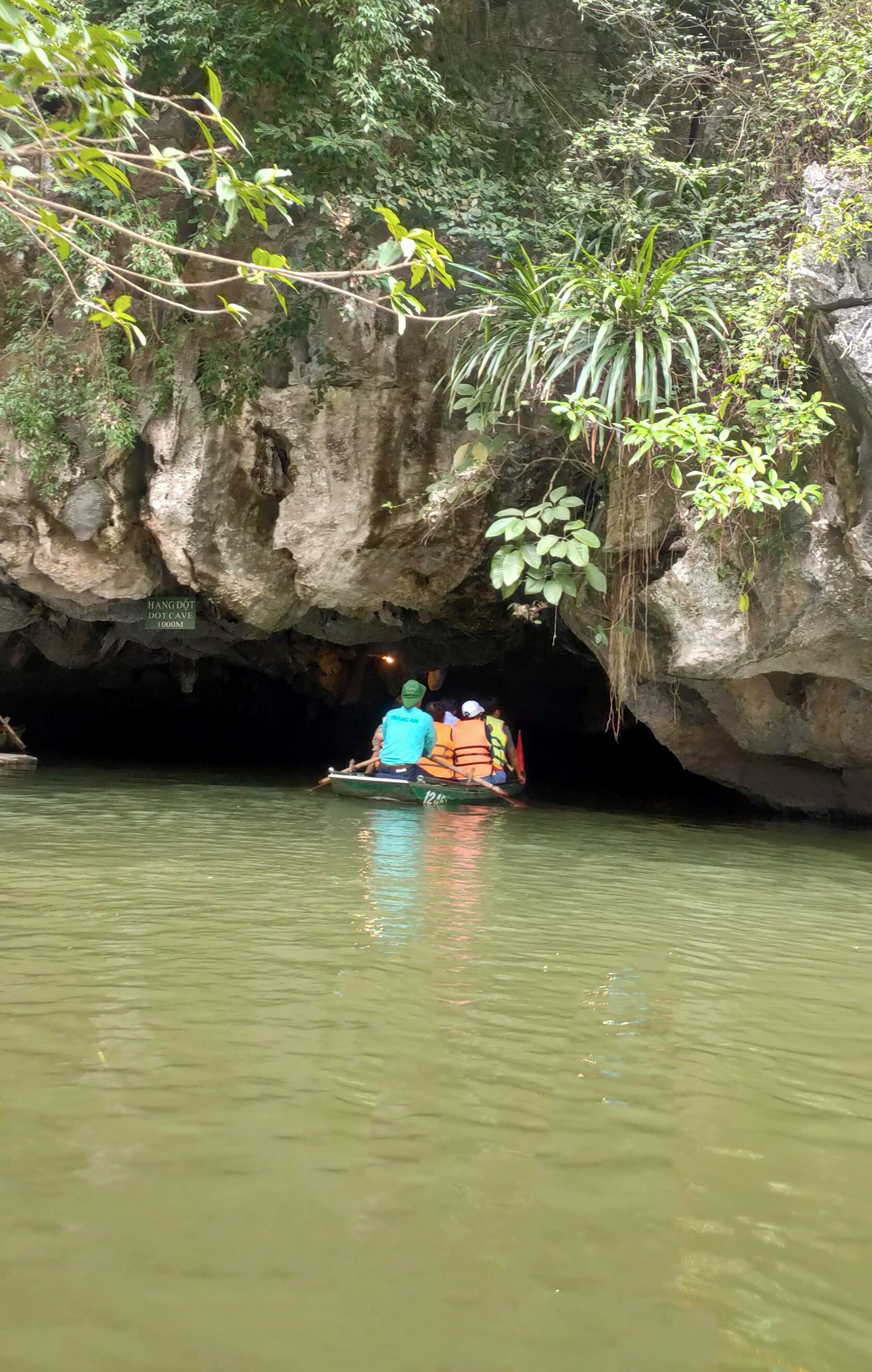 Trangan aves