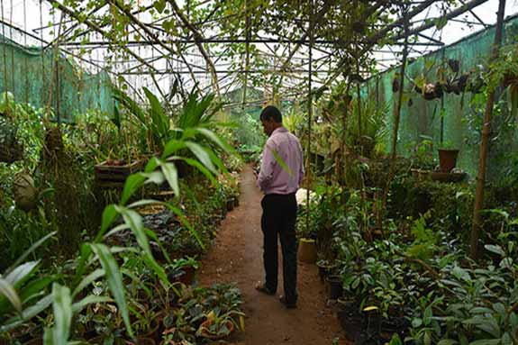 Botanical Garden
