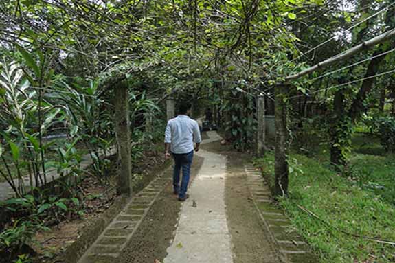 Walking Track